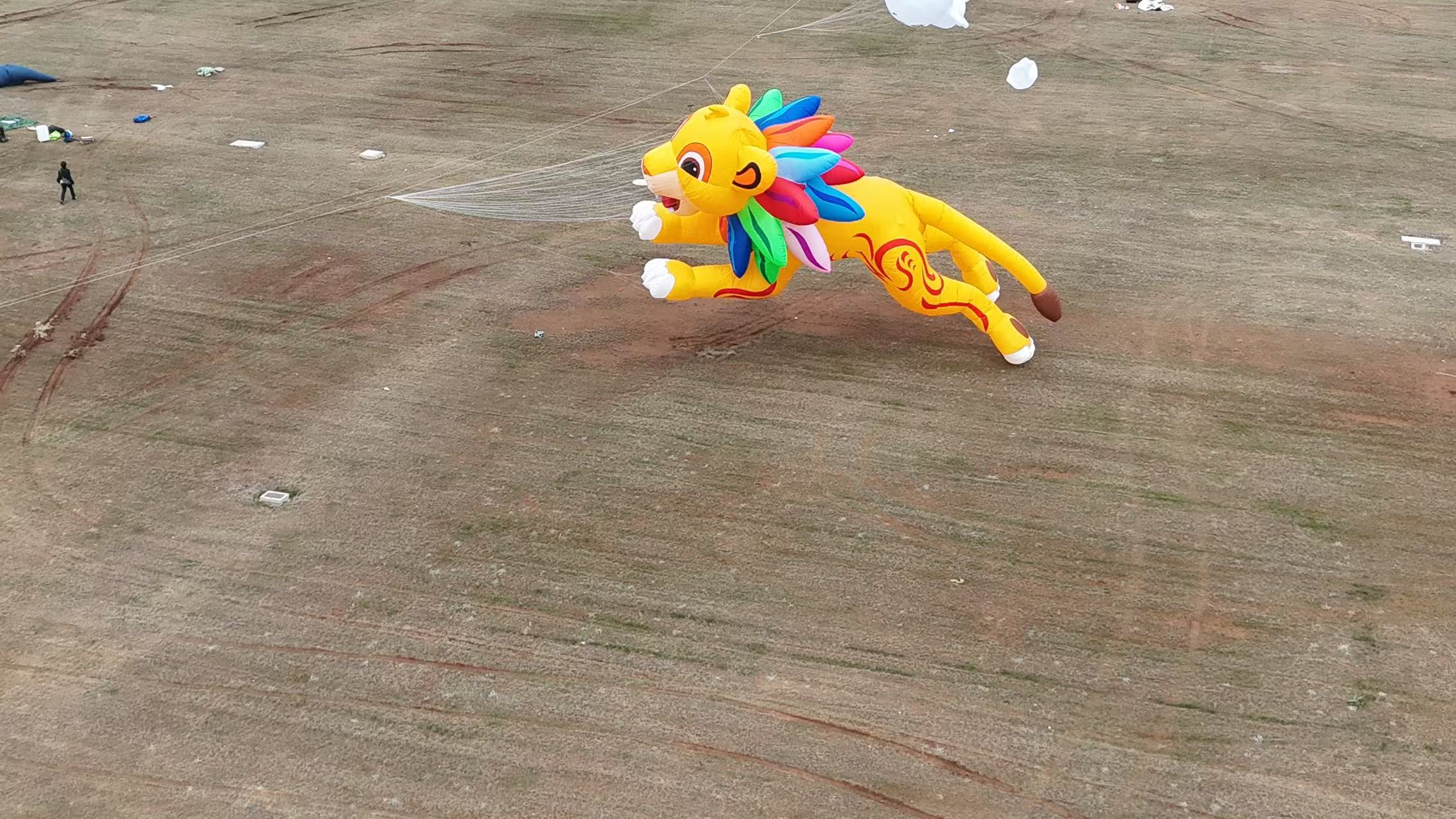 七台河市品牌风筝定制风筝定制 - 厂家